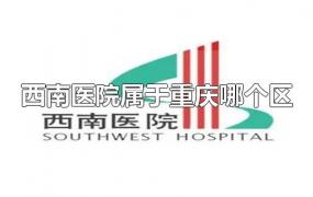 西南医院属于重庆哪个区