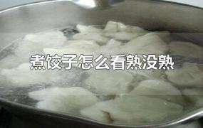 煮饺子怎么看熟没熟