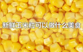 新鲜玉米粒可以做什么美食