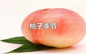 桃子季节
