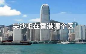 尖沙咀在香港哪个区