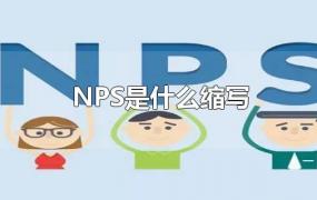 NPS是什么缩写