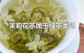 茉莉花茶属于绿茶类吗