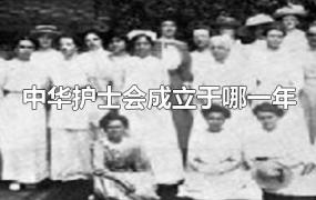 中华护士会成立于哪一年