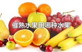 催熟水果用哪种水果