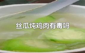 丝瓜炖鸡肉有毒吗