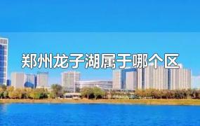 郑州龙子湖属于哪个区