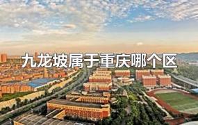 九龙坡属于重庆哪个区
