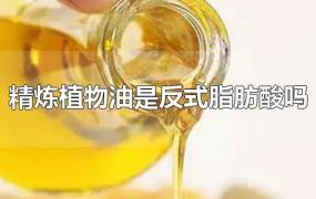 精炼植物油是反式脂肪酸吗