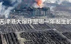 天津港大爆炸是哪一年发生的