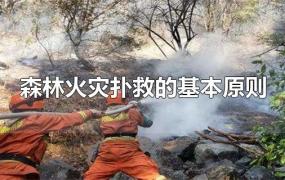 森林火灾扑救的基本原则