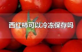 西红柿可以冷冻保存吗