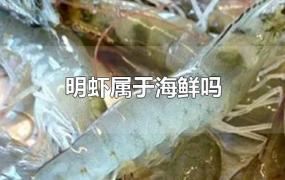 明虾属于海鲜吗