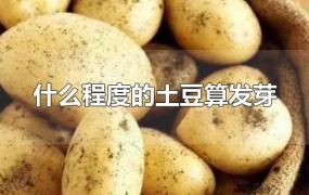 什么程度的土豆算发芽