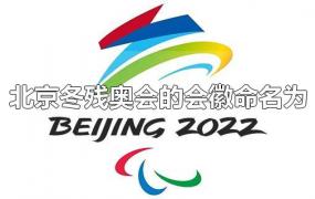 北京冬残奥会的会徽命名为