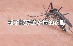 蚊子能穿透多厚的衣服