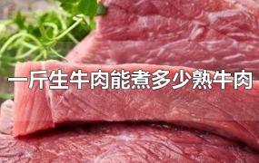 一斤生牛肉能煮多少熟牛肉