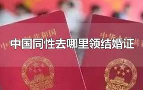 中国同性去哪里领结婚证