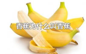 香蕉为什么叫香蕉