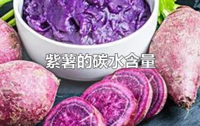紫薯的碳水含量