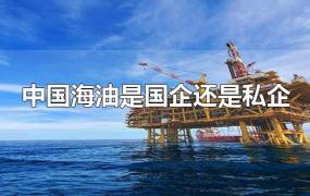 中国海油是国企还是私企