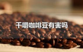干嚼咖啡豆有害吗