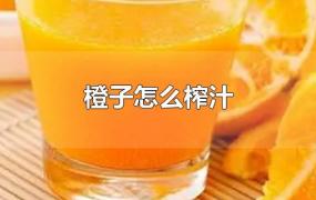 橙子怎么榨汁