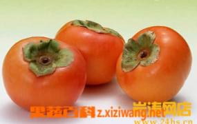 柿子种类图片,柿子品种