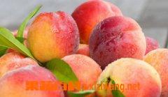 桃子如何保存 桃子的保存方法