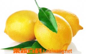 柠檬的功效和作用 柠檬的用法