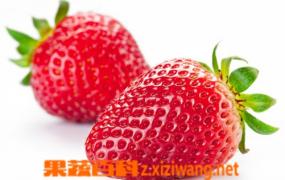草莓的营养价值和草莓的食疗价值