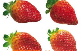 吃草莓的好处 草莓的药理作用