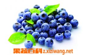 蓝莓的营养价值与作用
