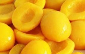 黄桃的品种分类和产地