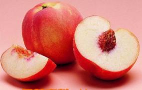 桃子的营养成份