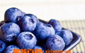 蓝莓的功效作用和吃法