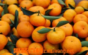 蜜橘做法指导 蜜橘食疗作用