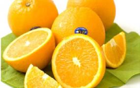 甜橙的营养价值和药理作用