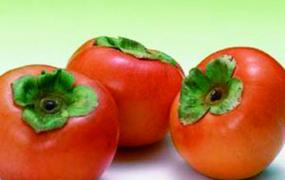 柿子有什么营养价值 柿子功效有哪些
