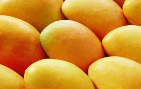 芒果营养价值和食用效果
