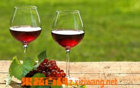 葡萄酒的酿制方法