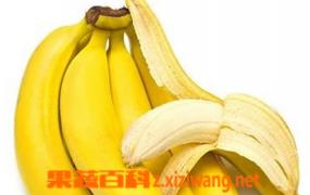 香蕉皮有哪些功效与作用