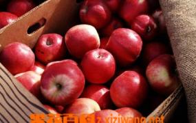 苹果的营养成分和药用价值