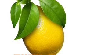 新鲜的柠檬怎么吃 新鲜柠檬的吃法