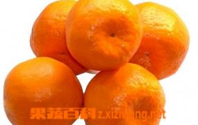 来月经能吃柑橘吗 月经期可以吃柑橘吗