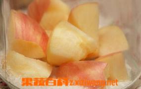 自制苹果酵素的做法 自制苹果酵素的方法