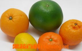 柑橘类水果图片 哪些是柑橘类水果