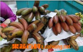 红皮香蕉营养价值