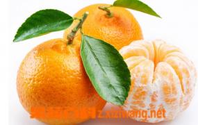 橘子的营养成分列表