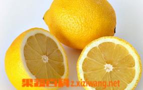 鲜柠檬片泡水减肥法